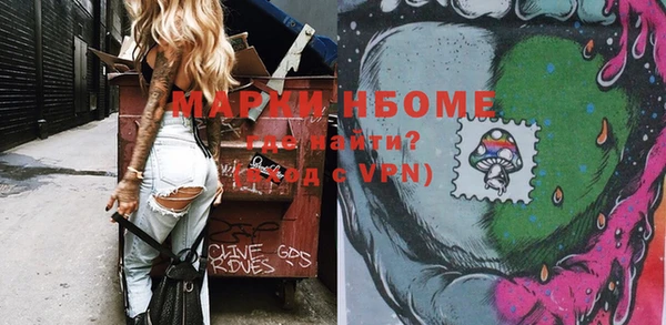 ГАЛЛЮЦИНОГЕННЫЕ ГРИБЫ Инта