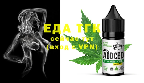 ГАЛЛЮЦИНОГЕННЫЕ ГРИБЫ Инта