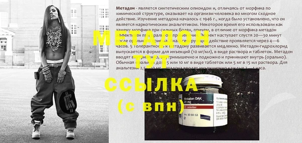 ГАЛЛЮЦИНОГЕННЫЕ ГРИБЫ Инта