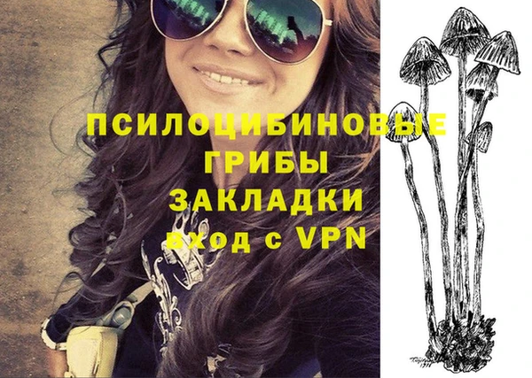 ГАЛЛЮЦИНОГЕННЫЕ ГРИБЫ Инта