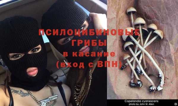 соль курить ск Иннополис