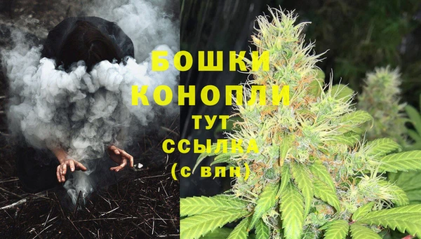 ГАЛЛЮЦИНОГЕННЫЕ ГРИБЫ Инта