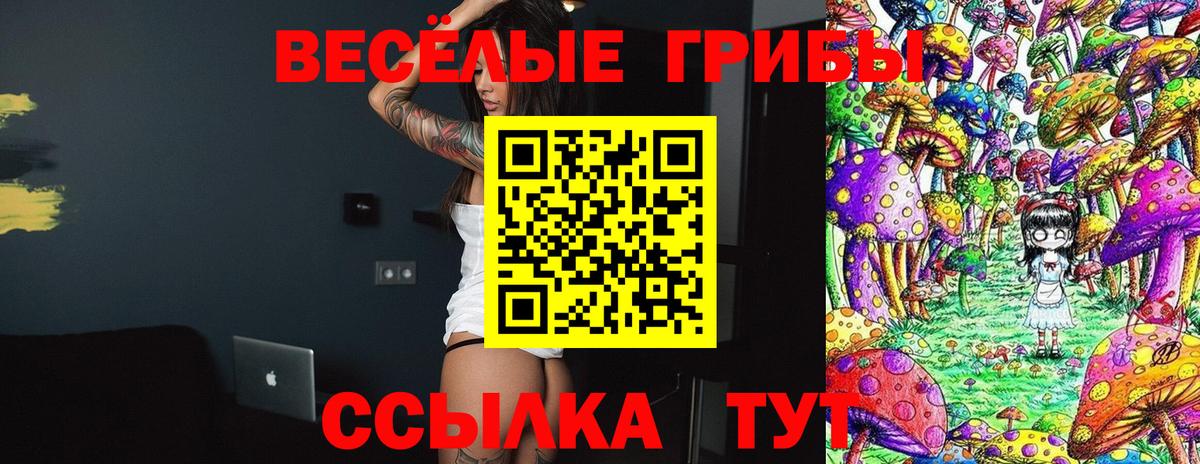 Галлюциногенные грибы прущие грибы  Славгород 