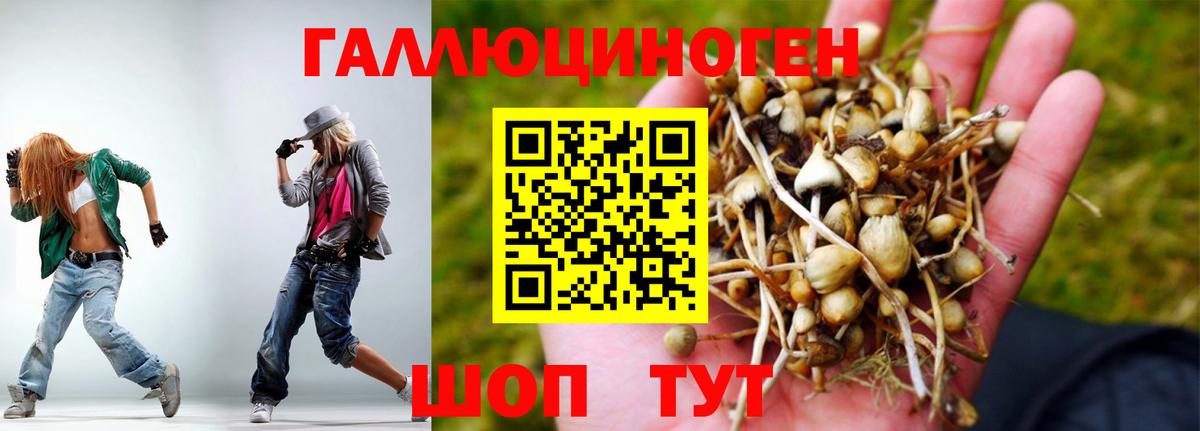 Псилоцибиновые грибы Cubensis  Вход с VPN  Славгород  Галлюциногенные грибы мухоморы 