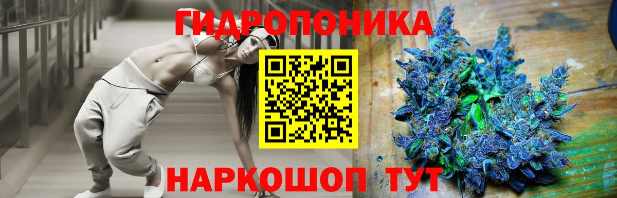 Бошки марихуана VHQ  Вход с VPN  Бошки Шишки THC 21%  Славгород  Канабис ГИДРОПОН 
